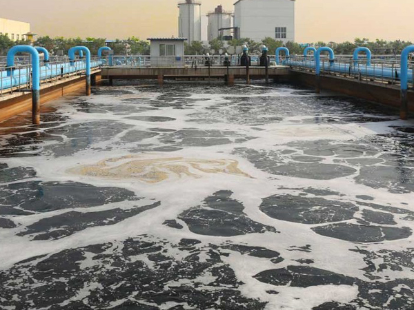 BOD Removal System in Water Treatment